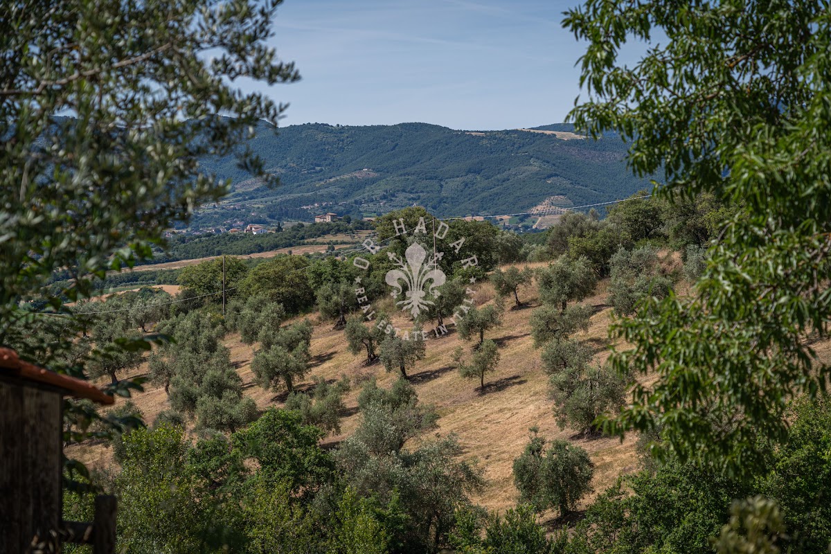 קזאלה דל פוצו (Casale del Pozzo) — 56