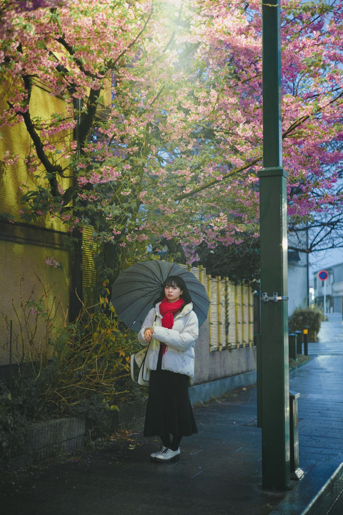 Mina — Makino Shota