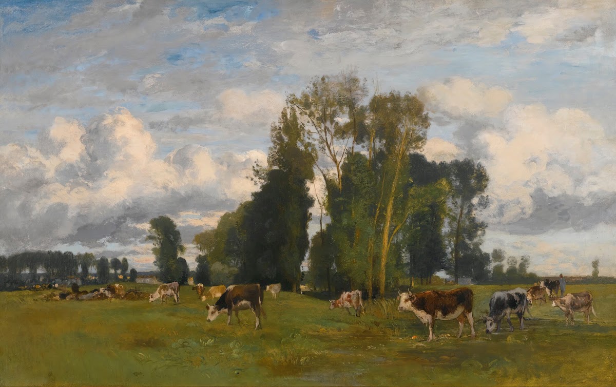 Grazing Cows On A Meadow