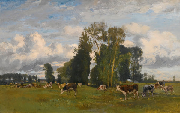 Grazing Cows On A Meadow