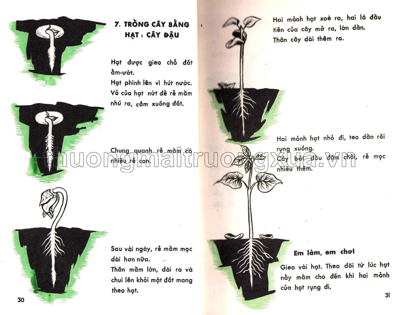 Em tìm hiểu khoa học lớp hai (1971) - Trang 16