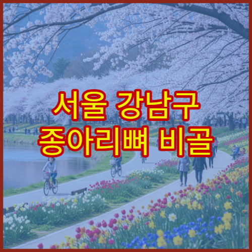 서울 강남구 종아리뼈 비골 골절 이상 증상 회복 가능한 병원 추천