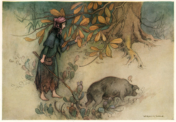Parmetella gathering Golden Leaves 1911