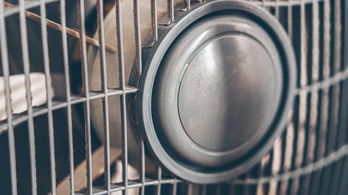 여름용 선풍기 구매 시 네이버플러스멤버십과 쿠폰 중복할인 적용 방법