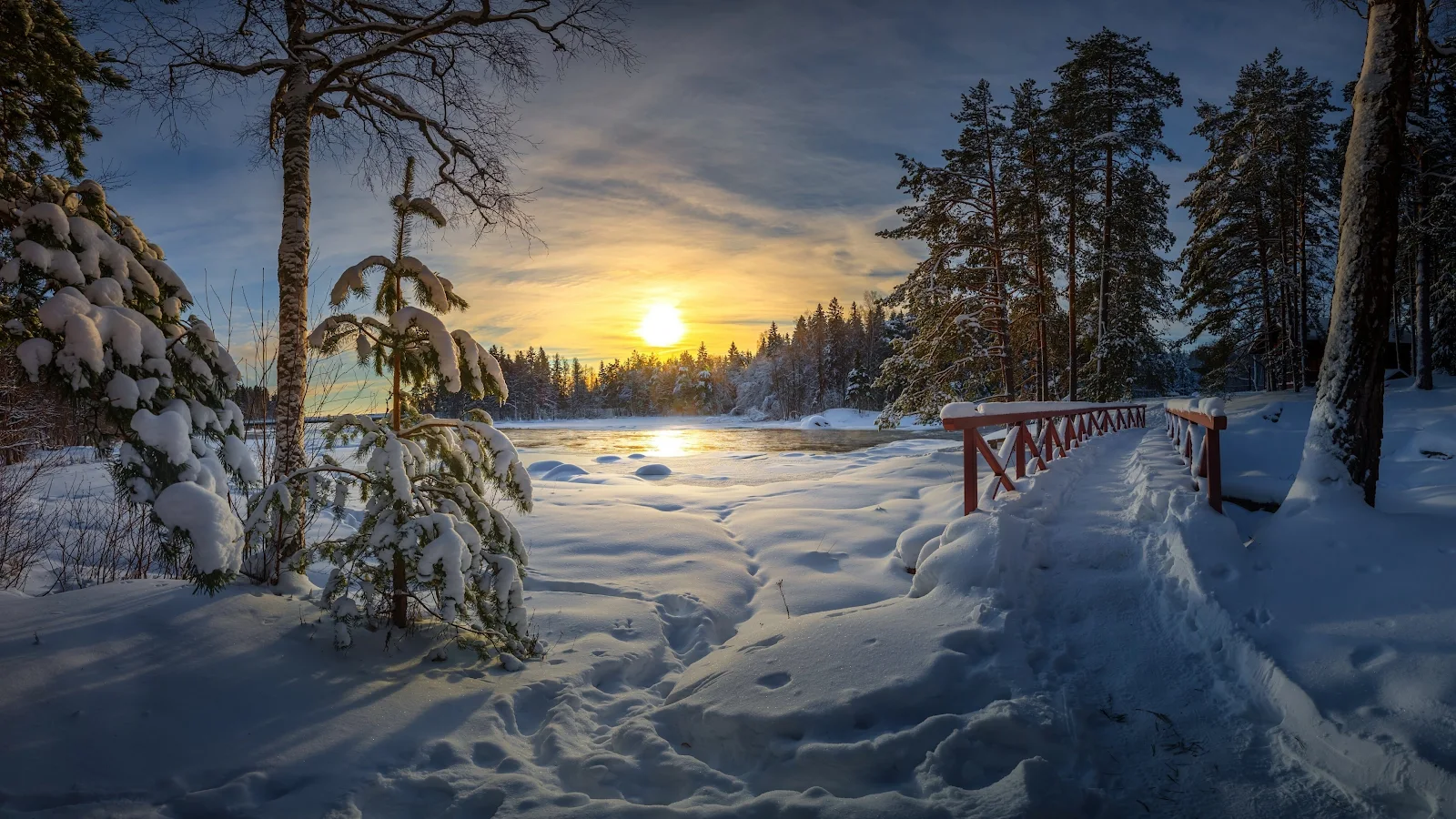 Nature, Landscape, Winter, Snow, Trees, Sun 4K Desktop, iPhone Wallpaper Background