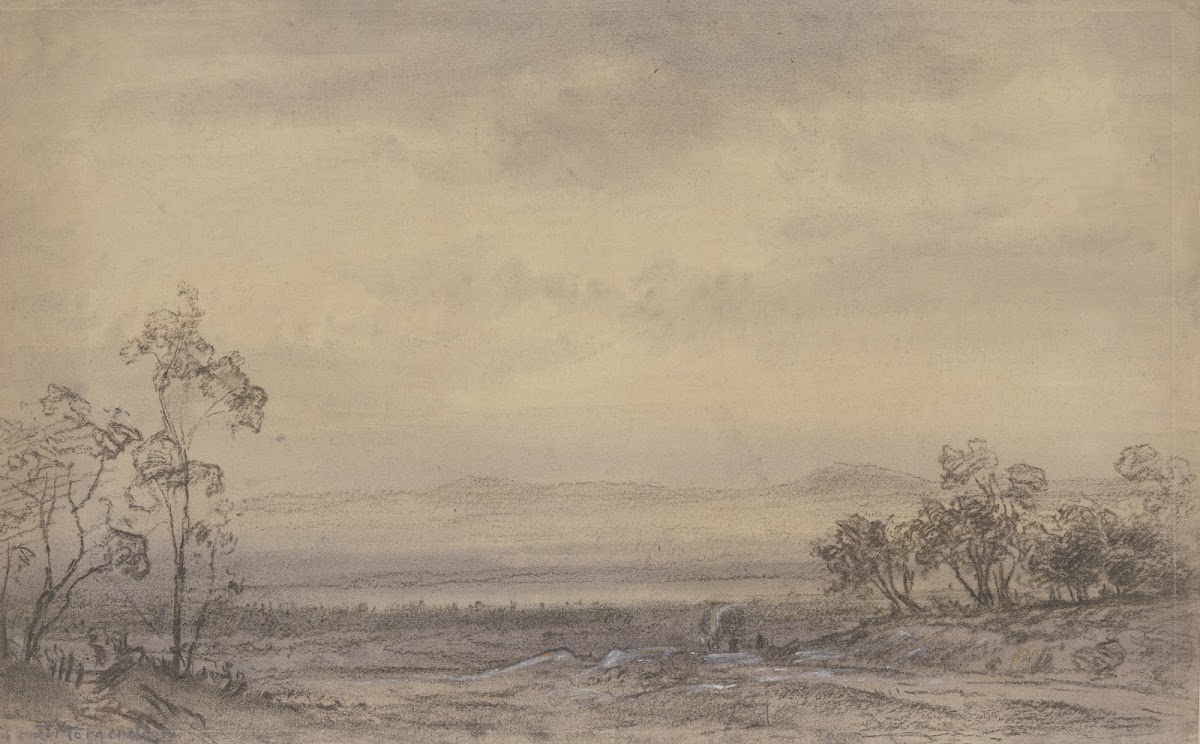 Heath landscape