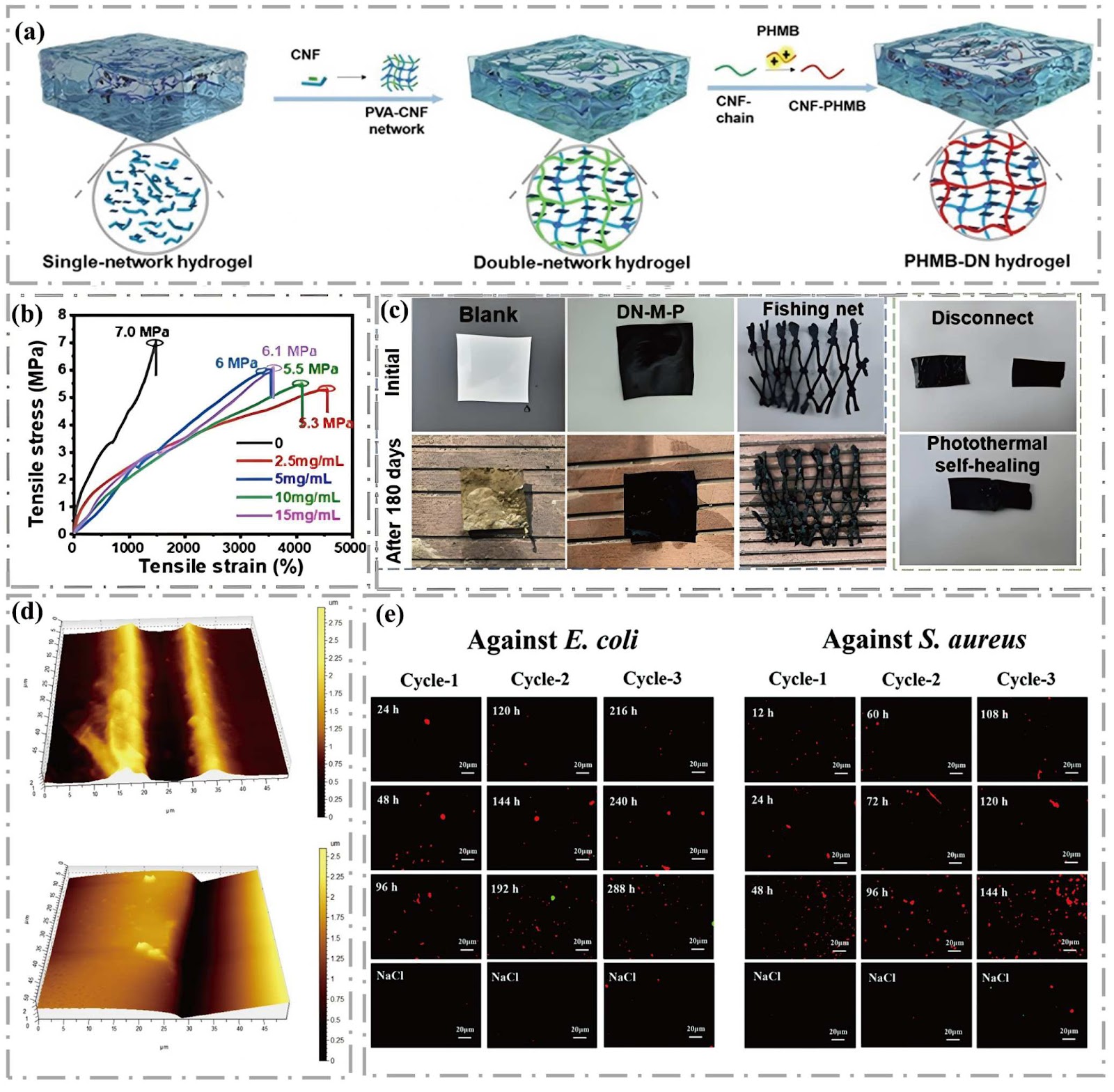Functional Antifouling Hydrogel Surface Engineering: Insight into Mechanisms, Interfacial Regulation and Marine Protection