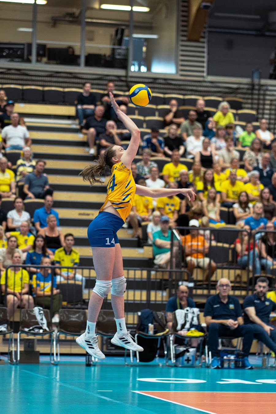 Sweden Hungary 262