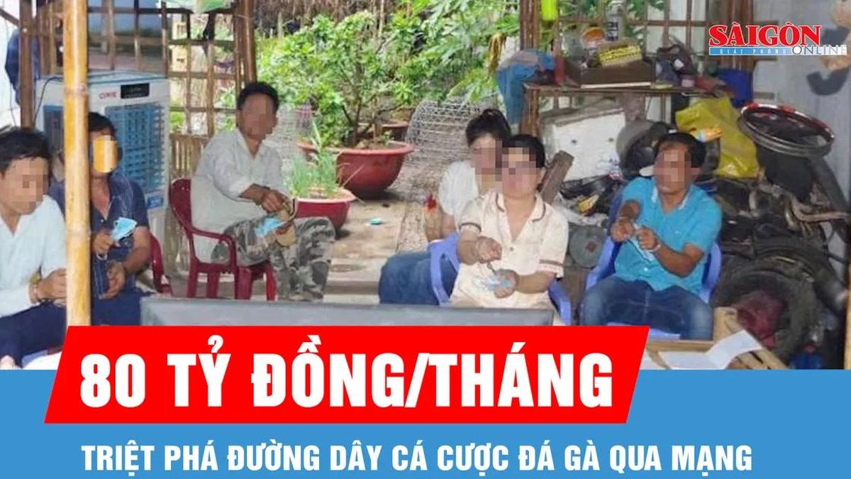 Triệt phá đường dây cá cược đá gà qua mạng, một tháng giao dịch 80 tỷ đồng - Báo Sài Gòn Giải Phóng