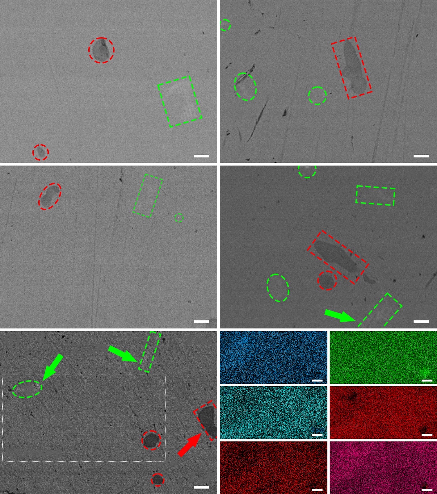 Phase structure evolution and performance divergence in AB2-type alloys induced by Al and Fe elemental substitution