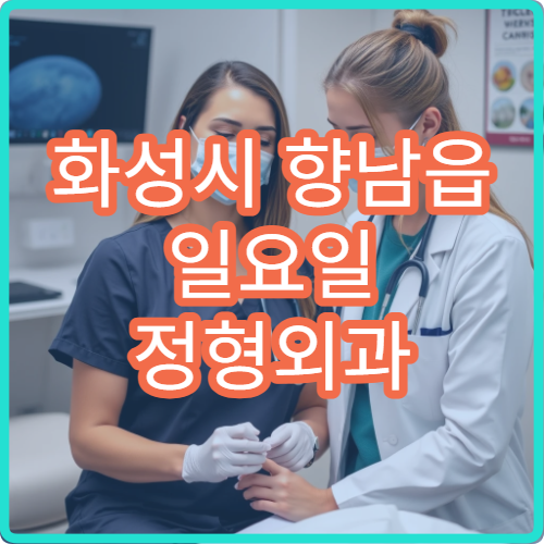 화성시 향남읍 일요일 정형외과 병원 안내 주말 정형외과 진료 확인