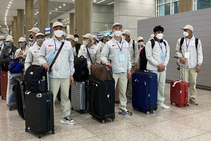 Doanh nghiệp Hàn Quốc nâng chất lượng tuyển dụng nhân lực Việt Nam - Đài Phát thanh và truyền hình Hà Nội