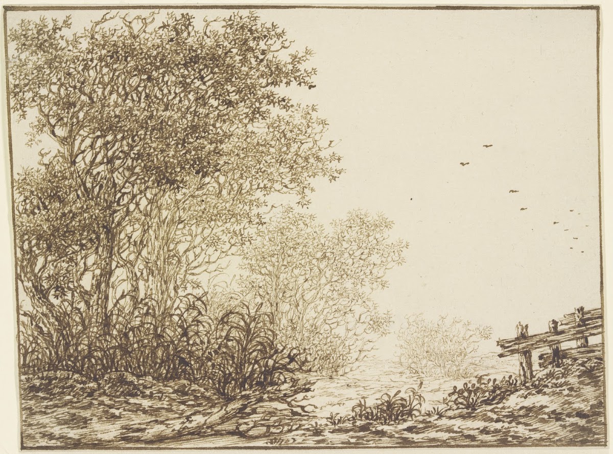 Landschaft mit Bäumen und Weidegatter