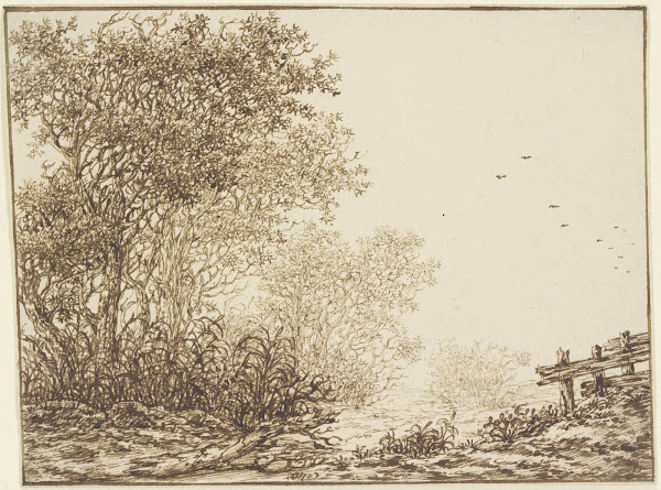 Landschaft mit Bäumen und Weidegatter