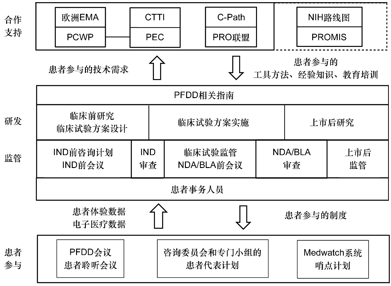 Patient-Focused Drug Development: A Comprehensive Review of Current Practices and Future Directions