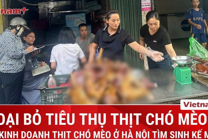 Hà Nội hướng đến loại bỏ tiêu thụ thịt chó, thịt mèo - Báo VietnamPlus