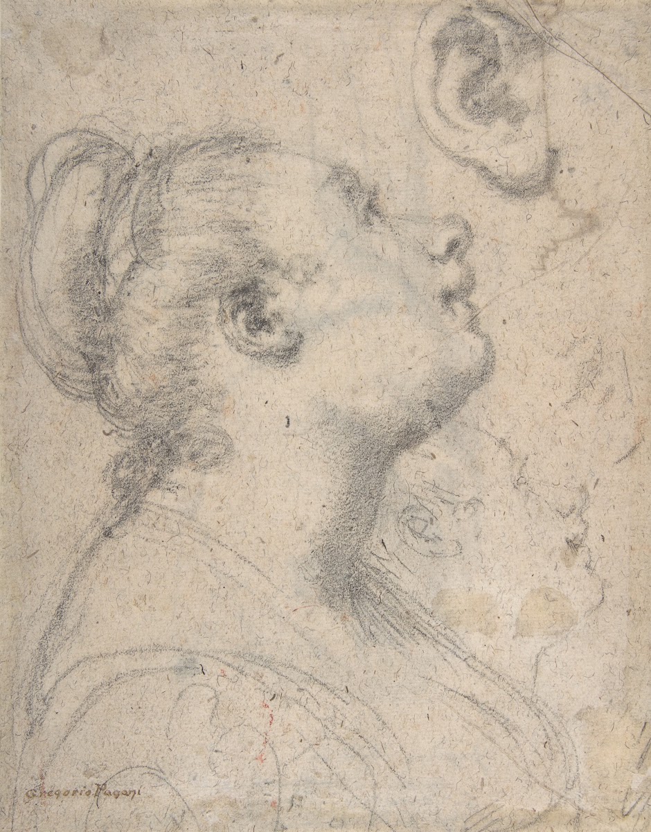 The Head and Shoulders of a Woman in Profile 1592