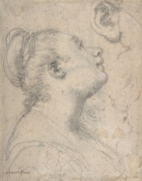 The Head and Shoulders of a Woman in Profile 1592