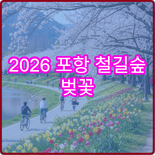 2026 포항 철길숲 벚꽃 주말 인파 실시간 앱으로 확인하고 방문하기
