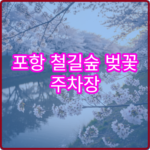 포항 철길숲 벚꽃 주차장 실시간 혼잡도 앱 확인하고 방문하기