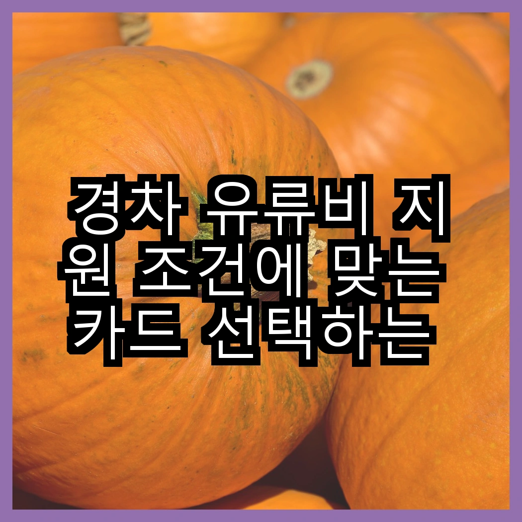 경차 유류비 지원 조건에 맞는 카드 선택하는 법 썸네일