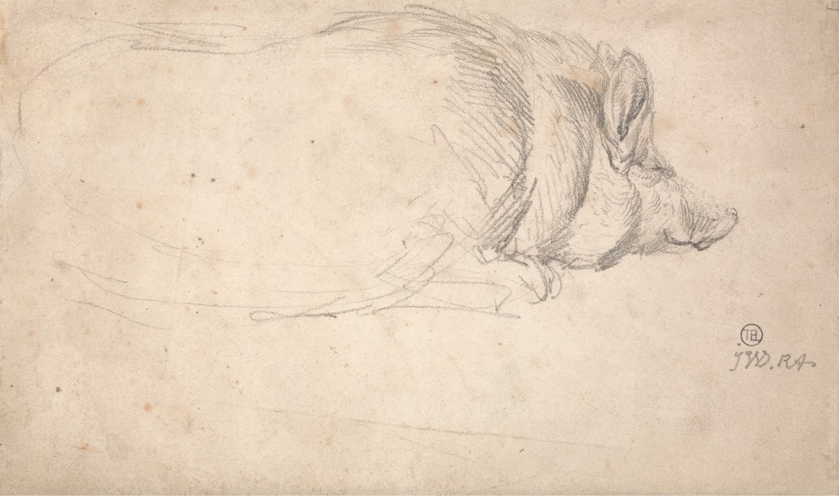 A Hog Sleeping ca 1807