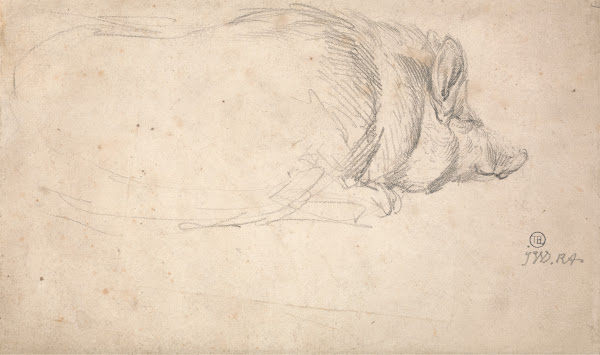 A Hog Sleeping ca 1807