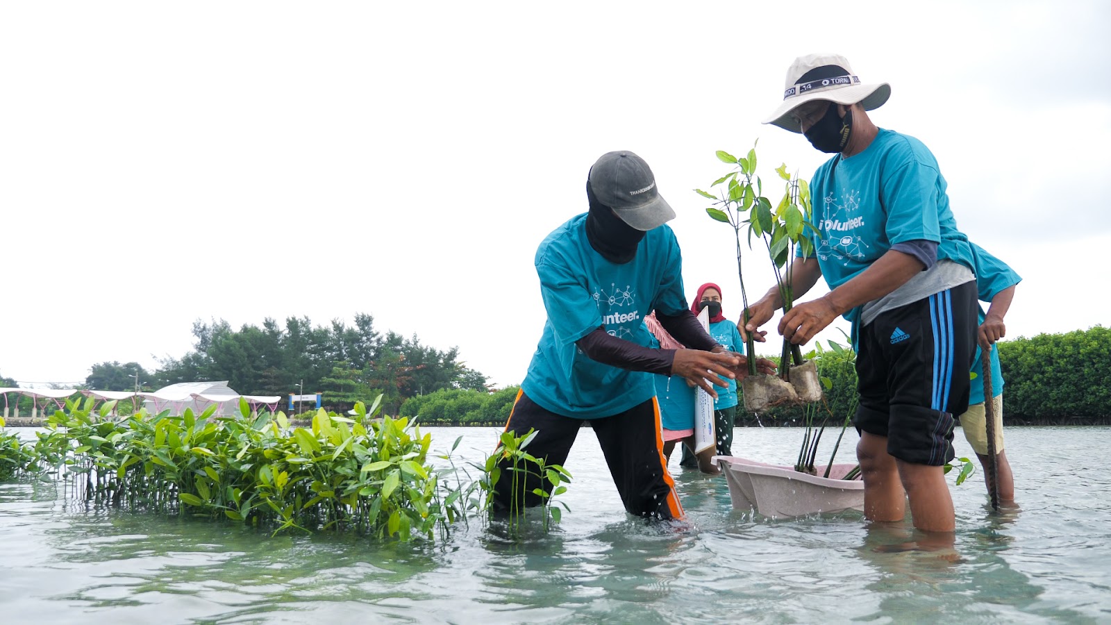Allianz Indonesia's CSR Program involving the planting of 3,000 mangroves during the World Clean-up Day 2021 event.