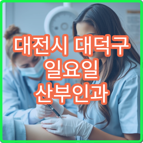 대전시 대덕구 일요일 산부인과 진료 병원 여성 통증 진료