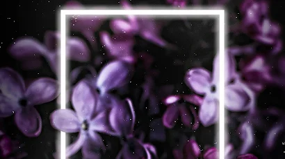 Lilac, Smartphone, Flower, Purple, Petal Full HD iPhone Wallpaper Background