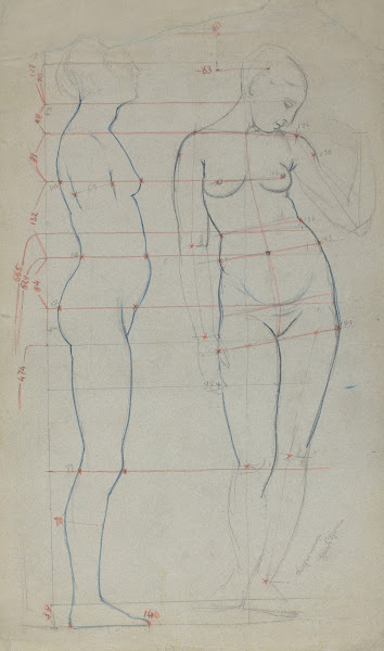 Graph of Female Nude Proportions as Seen from the Profile and En Face 1900