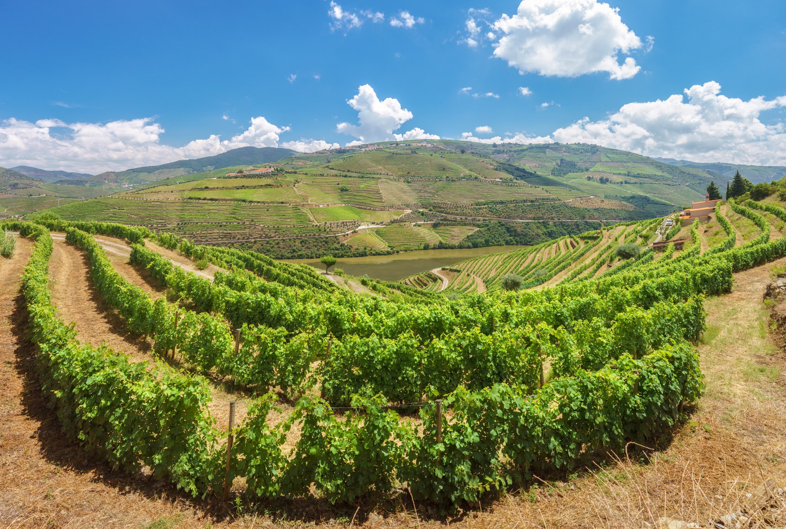 Douro Valley near Six Senses