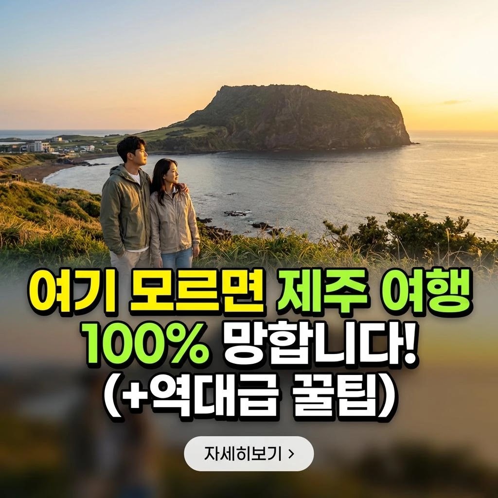 제주 2026년 3월: 가성비 핵심 5팁!