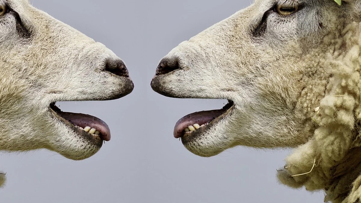 경력직 면접에서 연봉 협상 시 흔히 하는 실수와 대응 전략