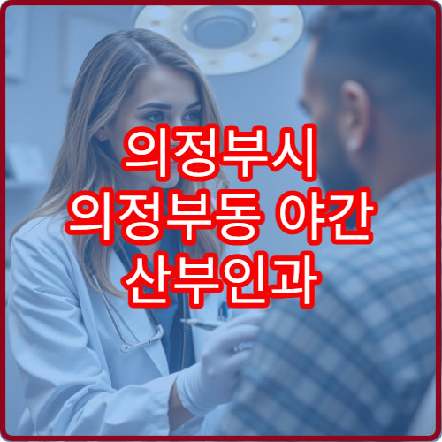 의정부시 의정부동 야간 산부인과 질염 하복부통증 진료 병원 안내