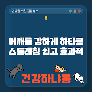 어깨 근육 강화, 하타 요가 스트레칭, 겨울 피트니스, 초보자 요가, 스트레칭 필수템