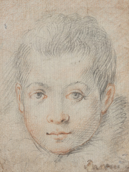Head of aBoy ca157480