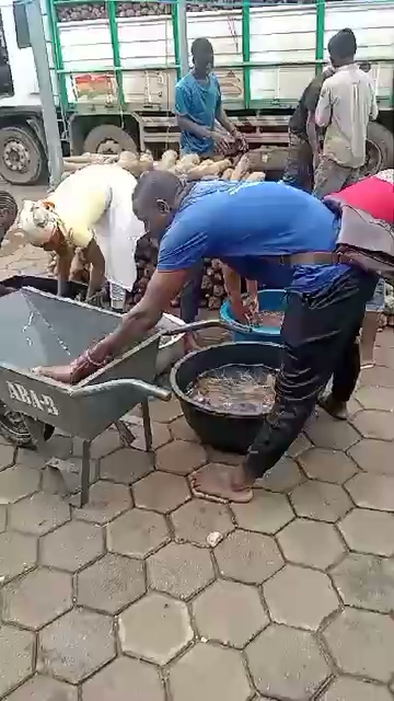 Yam washing