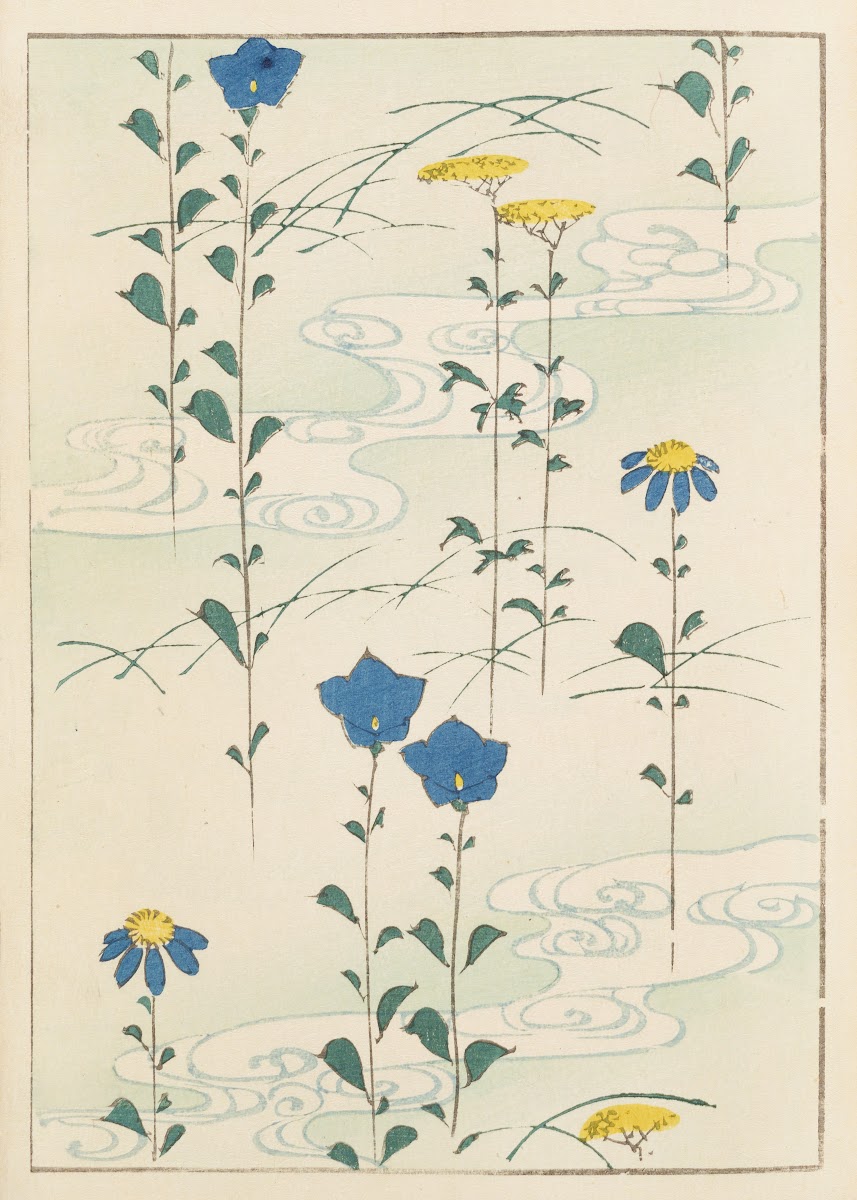 Shin Bijutsukai Pl017 1901 1902