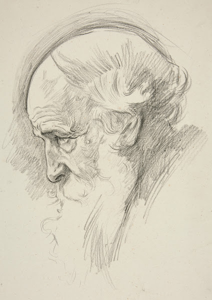 Portrait of an old bearded man inprofile