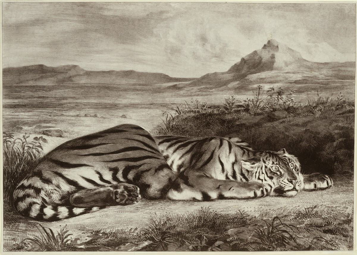 Royal Tiger 1829
