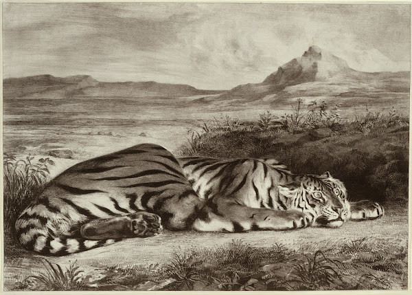 Royal Tiger 1829