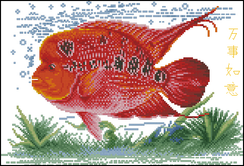 CMP 10709 Lohan Fish