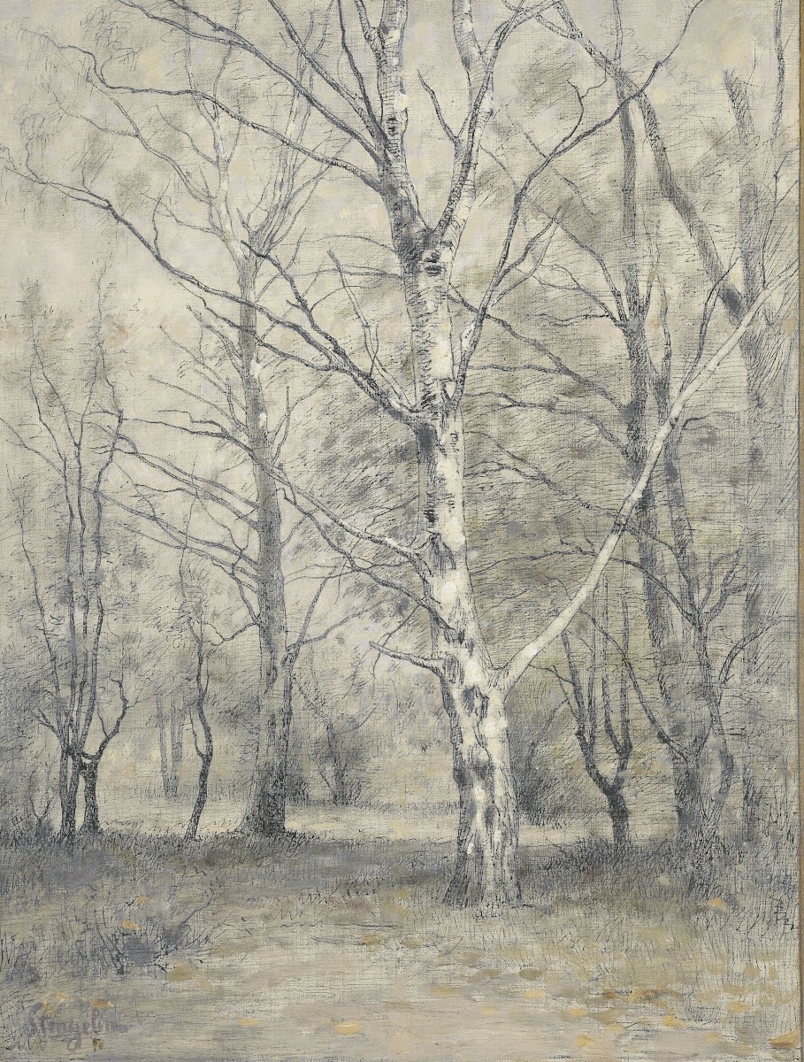 Bos met berkebomen 1875   1910