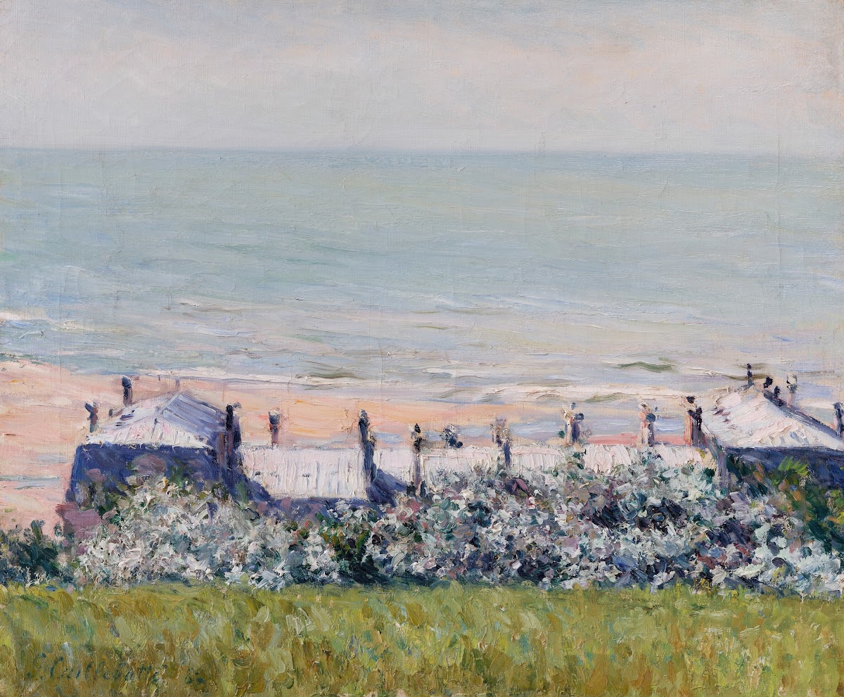 Les toits de lHôtel des Roches Noires Trouville 1882