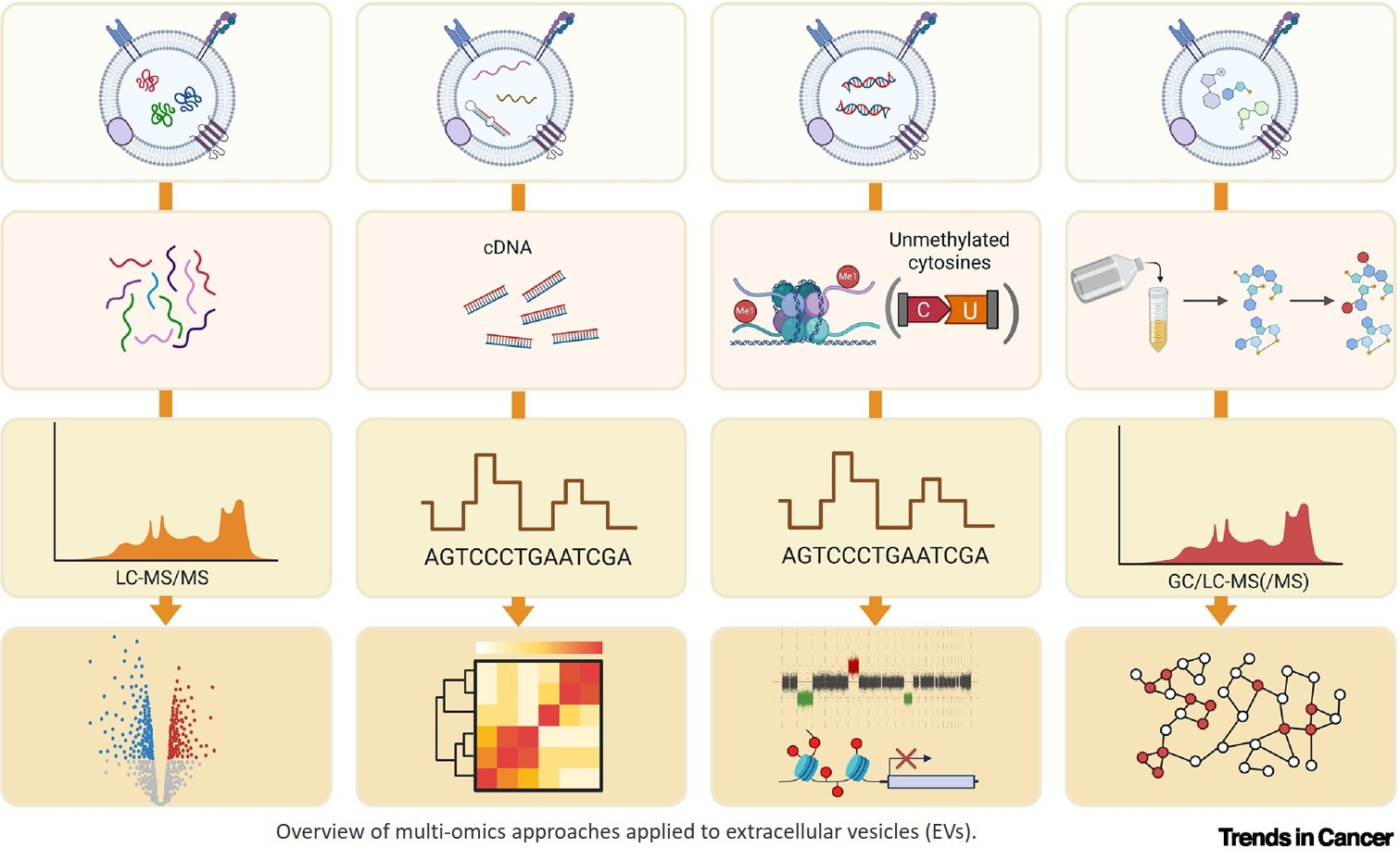 Extracellular vesicle cargo in cancer