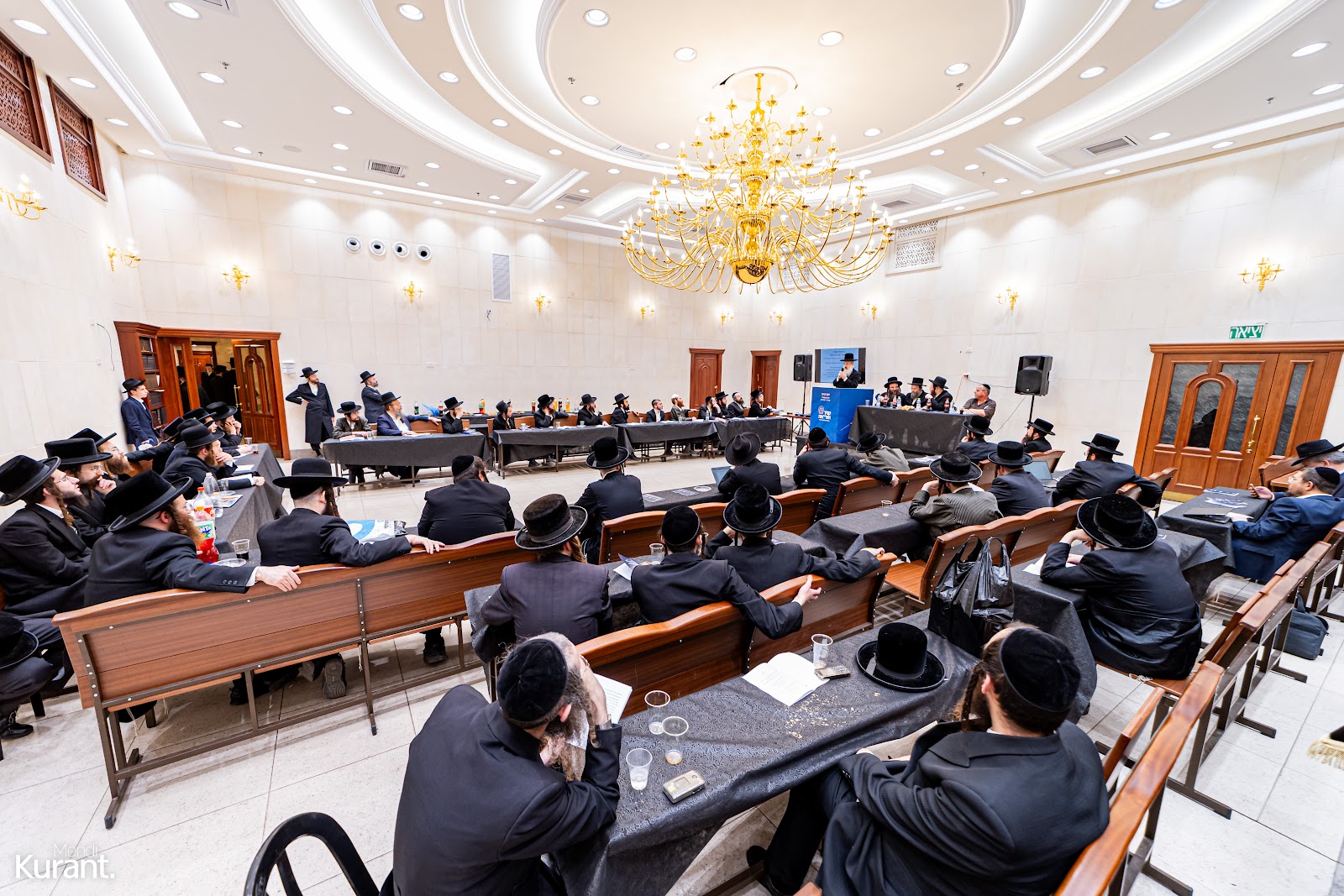 תמונה 11 מהגלריה