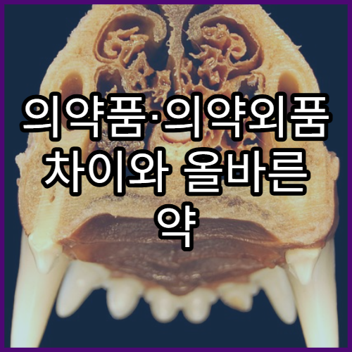 의약품·의약외품 차이와 올바른 약 선택 요령 정리