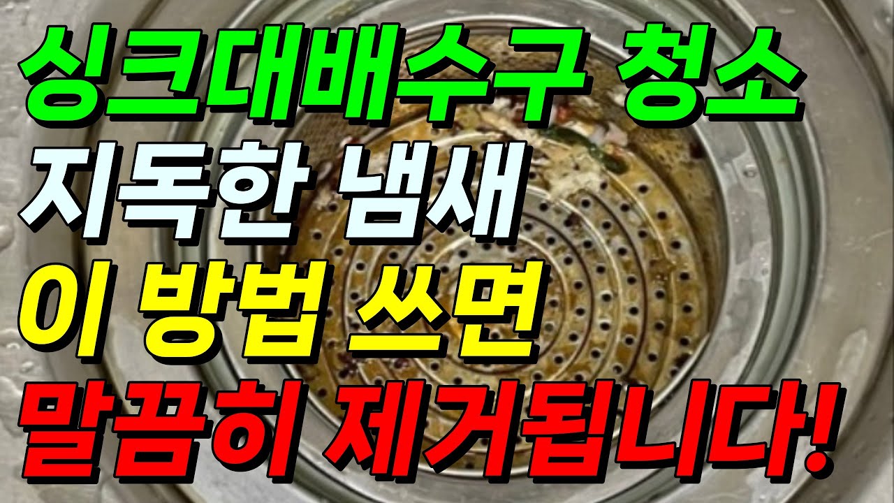 섹션 1 이미지