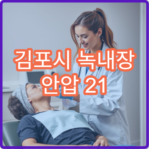 김포시 녹내장 안압 21 이상 응급 치료 병원 안내